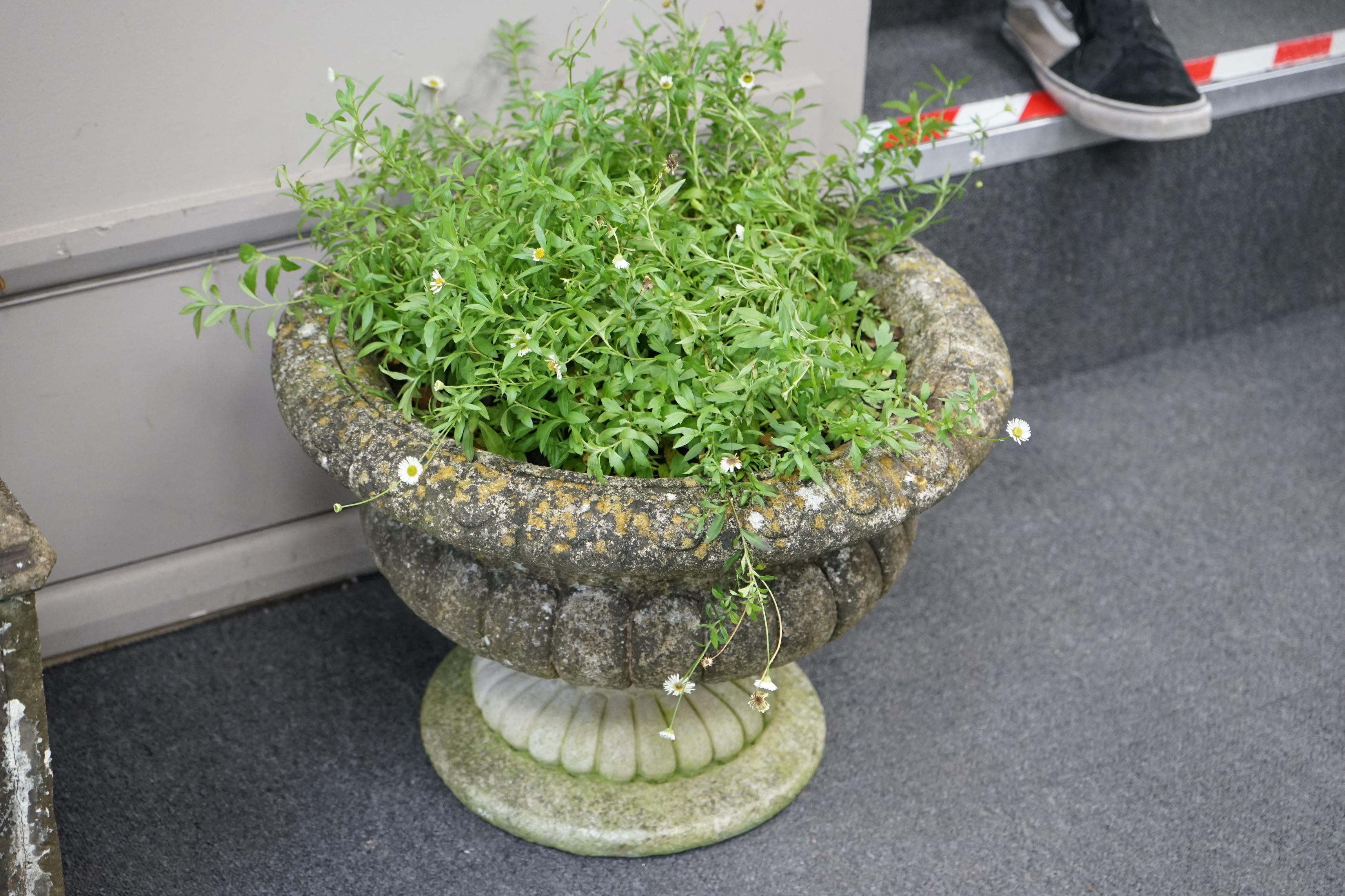 A pair of reconstituted stone circular garden urns